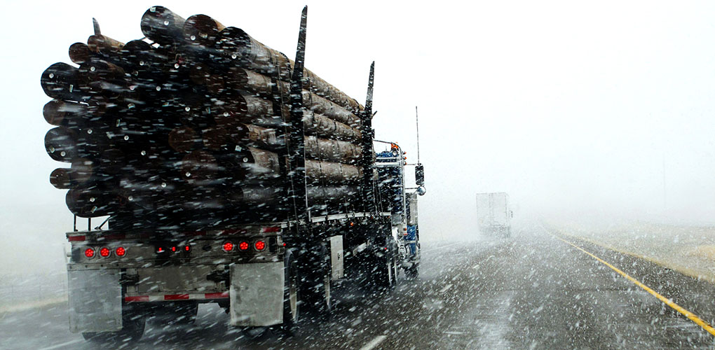 Driver Tips for Bad Weather Conditions ﻿